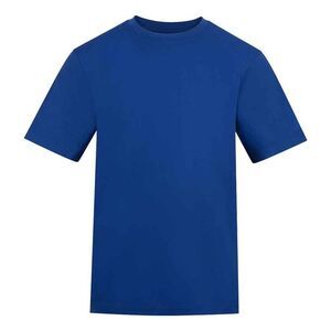 Awdis Unisex Adult 180 T-Shirt / Royal Blue